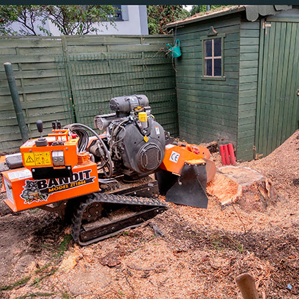 Gąsienicowa kompaktowa frezarka do pni drzew – firma z Katowic