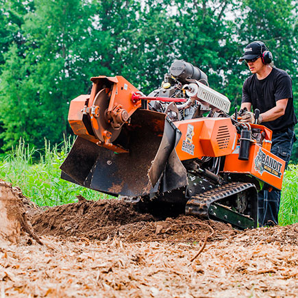 Usługa - frezowanie pni w Piekarach Śląskich