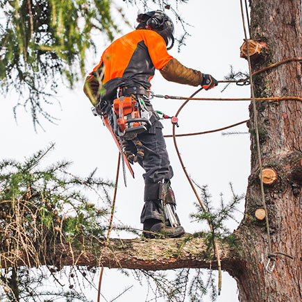 Hydrant – urządzenie do opuszczania urobku, wykorzystywany przy wycince drzew
