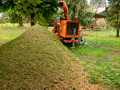 Maszyna do zrębkowania gałęzi - Rębarka
