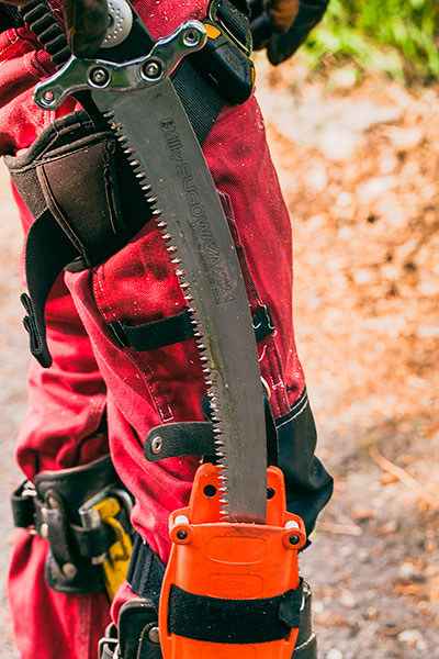 Wycięcie drzewa techniki linowe