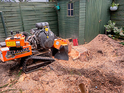 Maszyna do frezowania pni - Frezarka Bandit