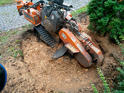 Maszyna do frezowania pni - Frezarka Bandit