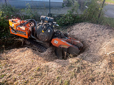 Maszyna do frezowania pni - Frezarka Bandit