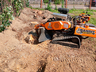 Maszyna do frezowania pni - Frezarka Bandit