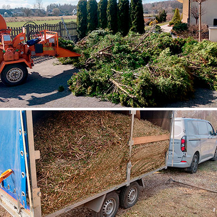 Wycinanie drzew alpinistycznie z własnej działki w Sosnowcu